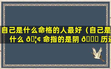 自己是什么命格的人最好（自己是什么 🦢 命指的是阴 🐞 历还是阳历）